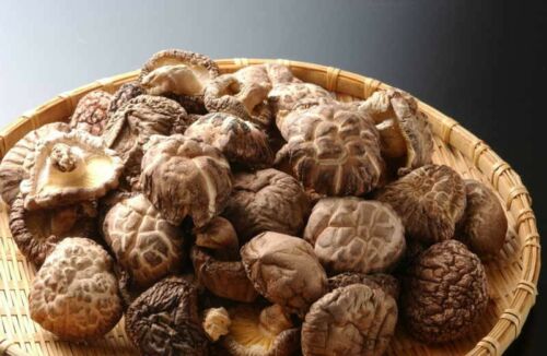 100% Organic Top Grade Dried Shiitake Chinese Mushroom 1 Lb (16 Oz) 4-5 Cm